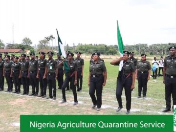 Apply for Nigeria Agricultural Quarantine Service (NAQS) Recruitment 2026