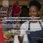 Apply SMEDAN’s Conditional Grant Scheme (CGS) gives ₦50,000