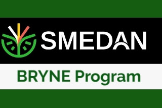 SMEDAN Launches BRYNE Programme To Support 100,000 Young Nigerian Entrepreneurs