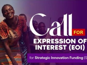 Apply for ActionAid Nigeria’s ₦20 Million Strategic Innovation Fund 2026 for Women-Led Organisations