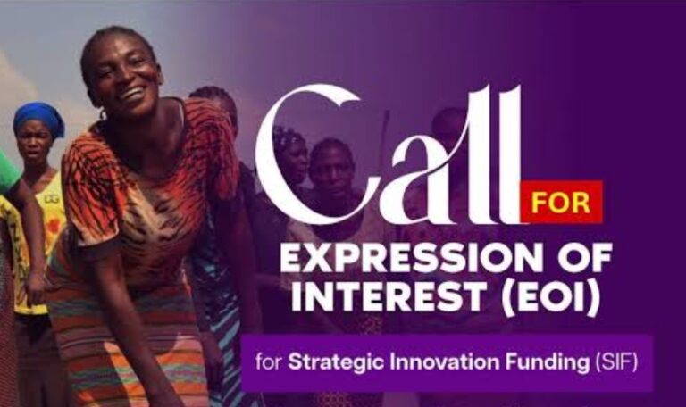Apply for ActionAid Nigeria’s ₦20 Million Strategic Innovation Fund 2026 for Women-Led Organisations